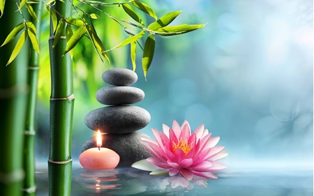 Picture for category Zen Designs