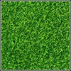 Picture of Grass Background - Polaroids 