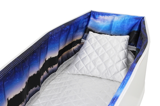 Picture of Starry Night Sky 