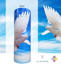 Picture of Dove - Tube - 240cu
