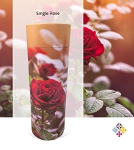 Picture of Single Rose - Tube - 120cu